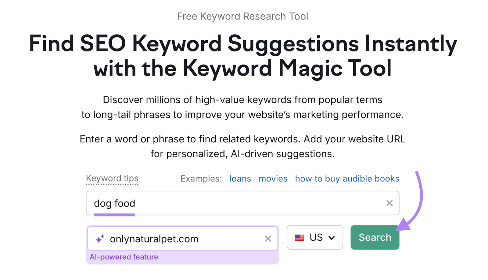 Keyword and domain are entered into the tool.