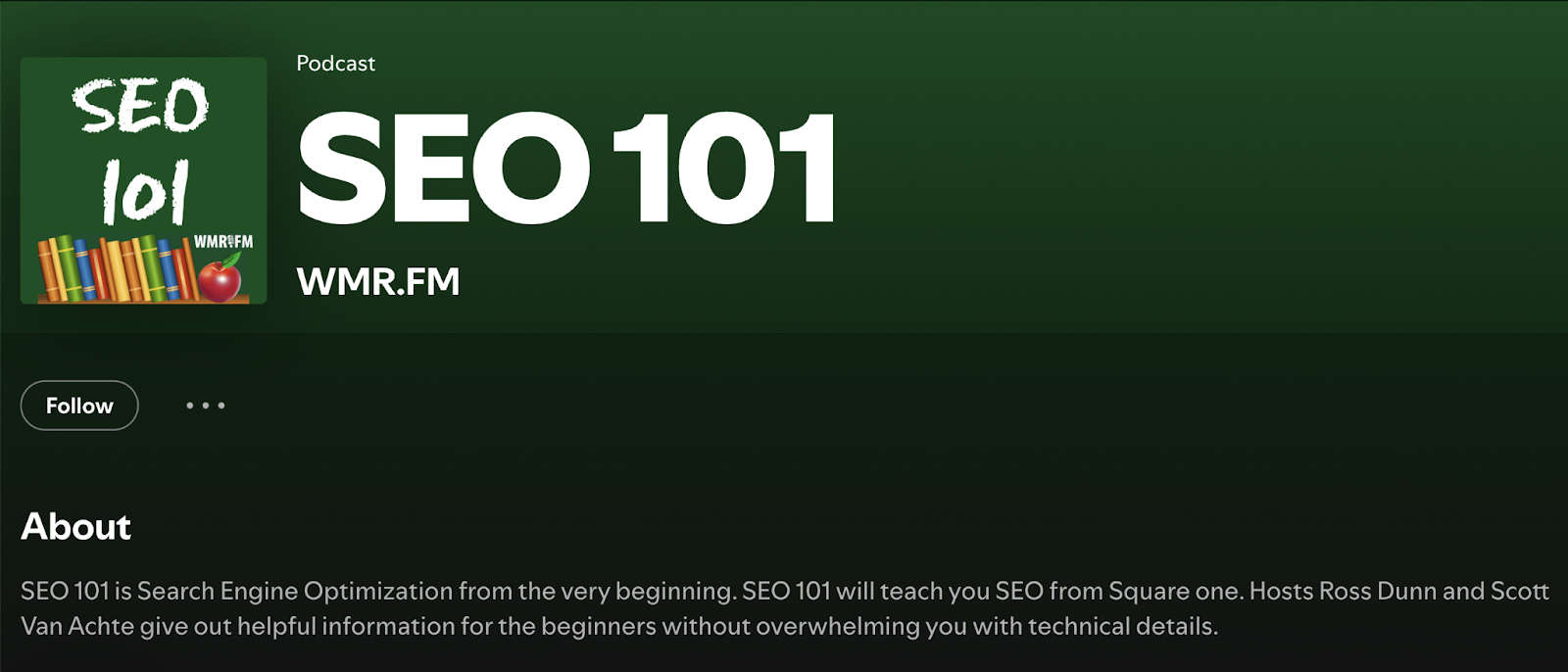 SEO 101 podcast as it appears on Spotify.