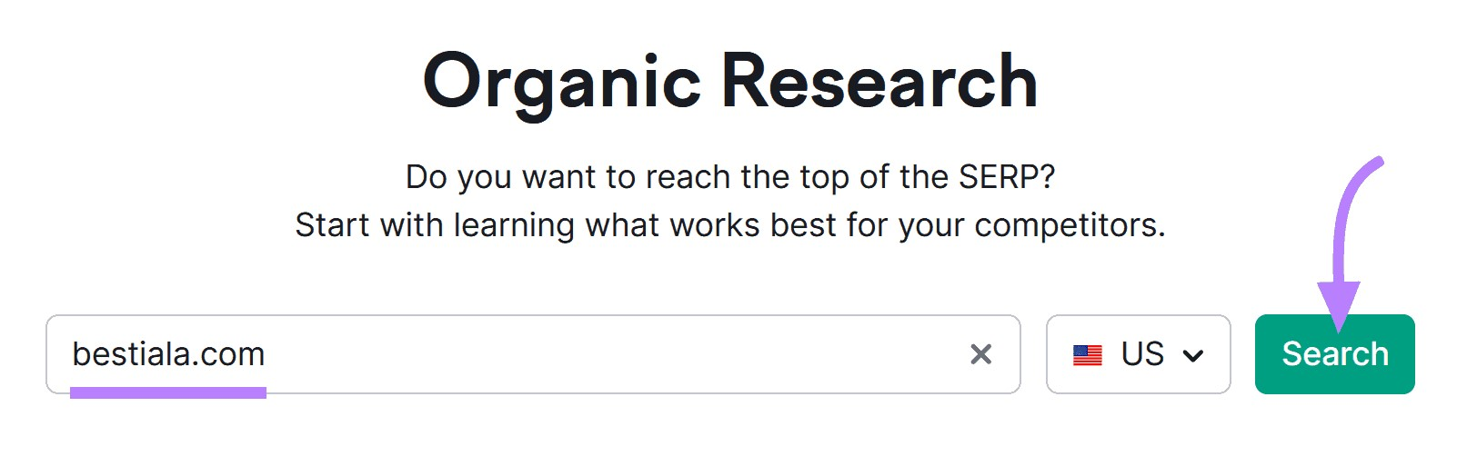 "bestiala.com" entered into the Organic Rankings search bar